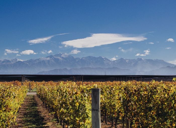 Diseño sin título (31)